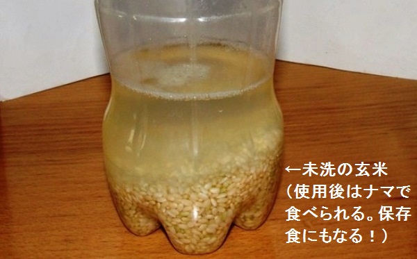 玄米乳酸菌