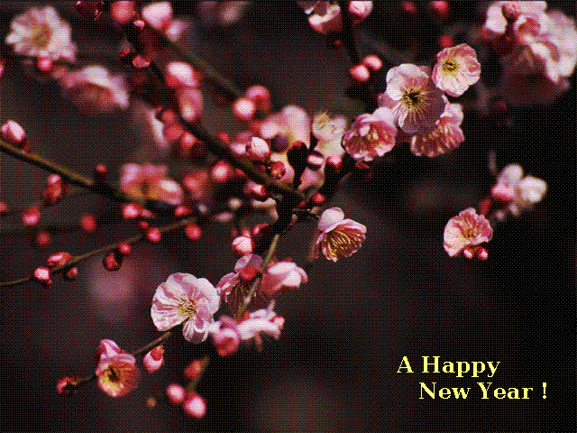 A happy New Year!